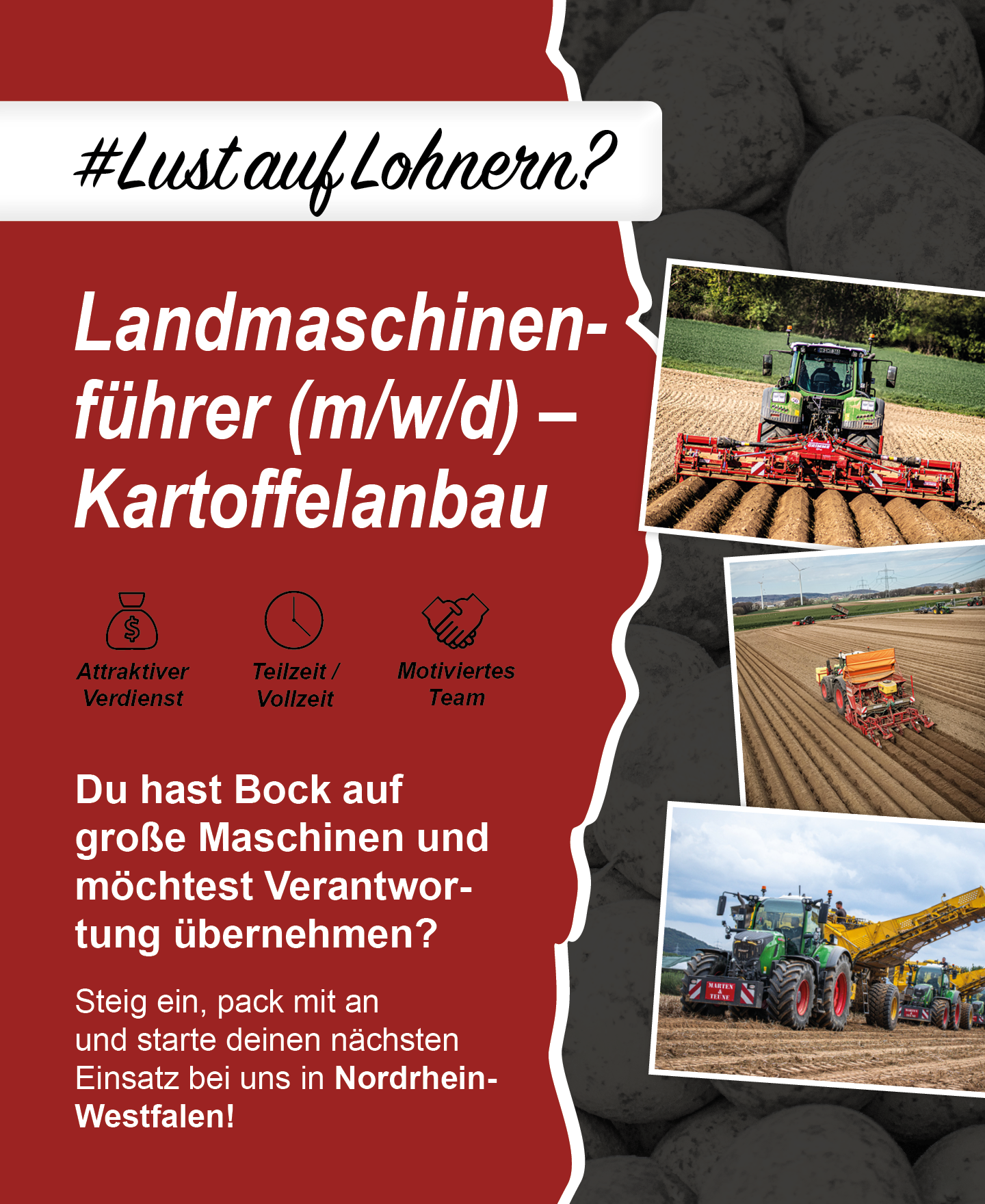 LMF_Kartoffel_Webseite